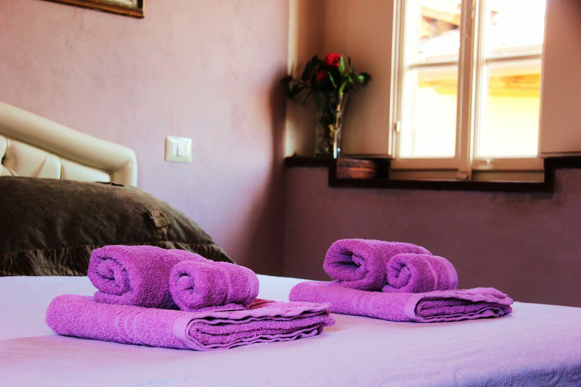 Altana Panoramic Hotel Lucca Eksteriør billede